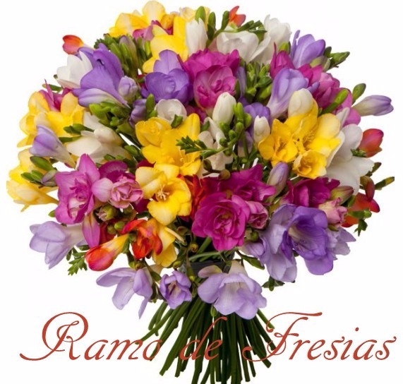 Foto de Ramo de 100 Fresias 